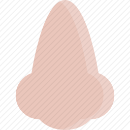 鼻子