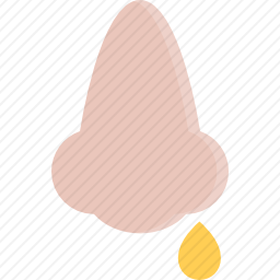 鼻子