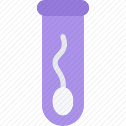 <em>精子</em>