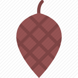 <em>松子</em>