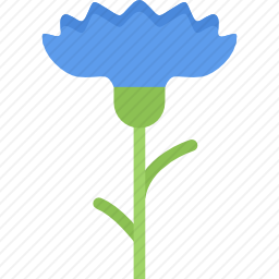 <em>花</em>