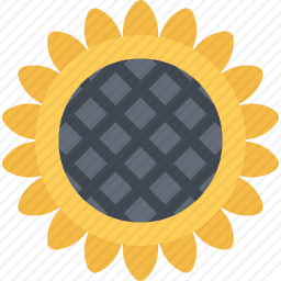<em>向日葵</em>