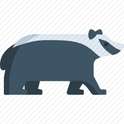 獾