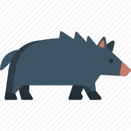 野猪