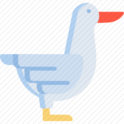 鸭子