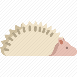 刺猬