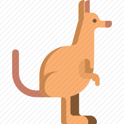袋鼠