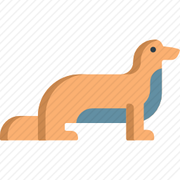 水獭