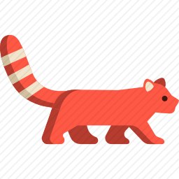 小猫熊