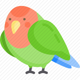 鸟