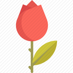 <em>花</em>
