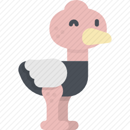 鸵鸟