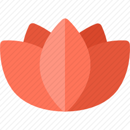 <em>莲花</em>