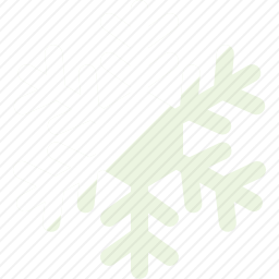 雪花