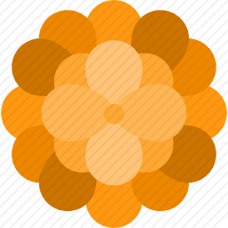 <em>塞萨帕奇尔</em>