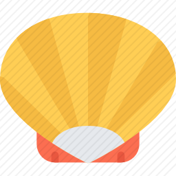 <em>贝壳</em>