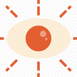 <em>眼科</em>