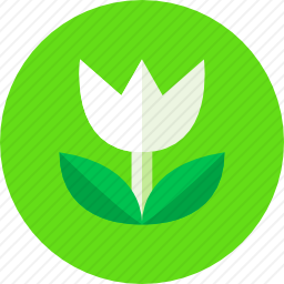 <em>花</em>