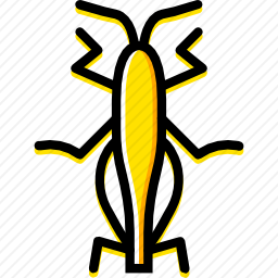 蚱蜢