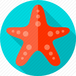 海星