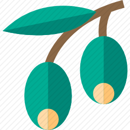 橄榄