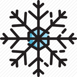 <em>雪花</em>