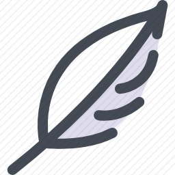 羽毛