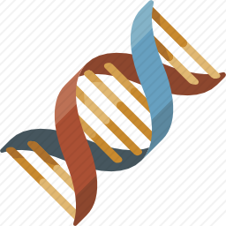 DNA