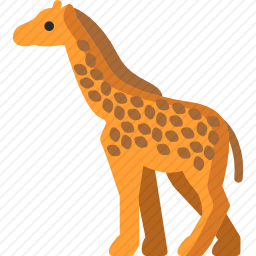 <em>长颈鹿</em>