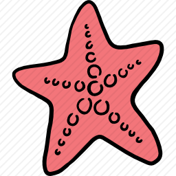 海星