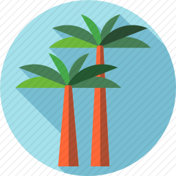 <em>棕榈树</em>