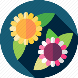 <em>花</em>