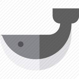 <em>鲸鱼</em>
