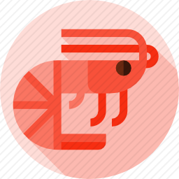 虾