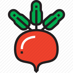 <em>甜菜</em>