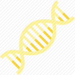 DNA