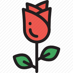 玫瑰