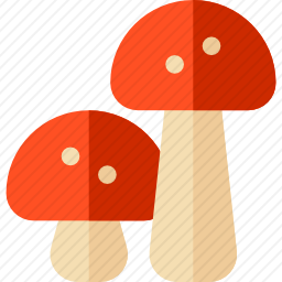 蘑菇