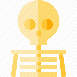 骨架