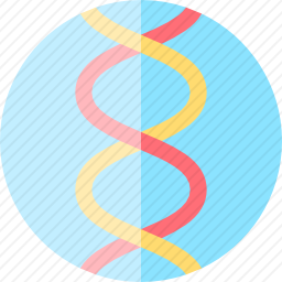 DNA