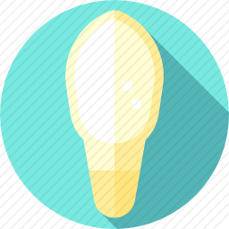 <em>牙齿</em>
