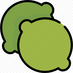 <em>青柠</em>