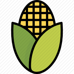 <em>玉米</em>