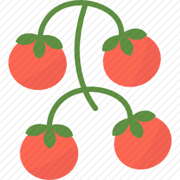 <em>番茄</em>