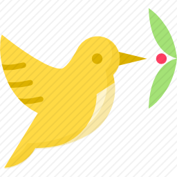 鸟