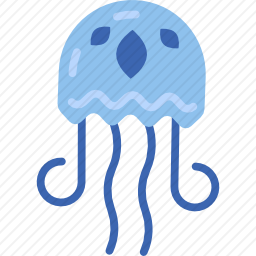 水母