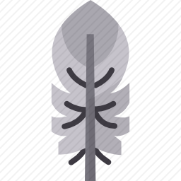 羽毛