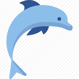 海豚