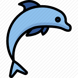 海豚
