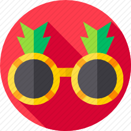 太阳镜